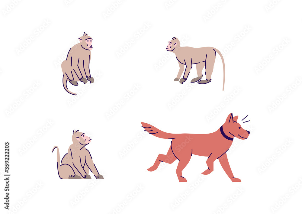 Monkey and dog semi flat RGB color vector illustration set. Indonesian wildlife. Grey chimpanzee. Safari conservation creature. Wild animal isolated cartoon character on white background collection