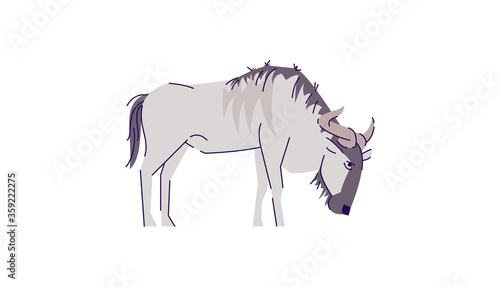 African cattle eating semi flat RGB color vector illustration. Indonesian wildlife mammal. Wild buffalo. Safari conservation creature. Wild animal isolated cartoon character on white background