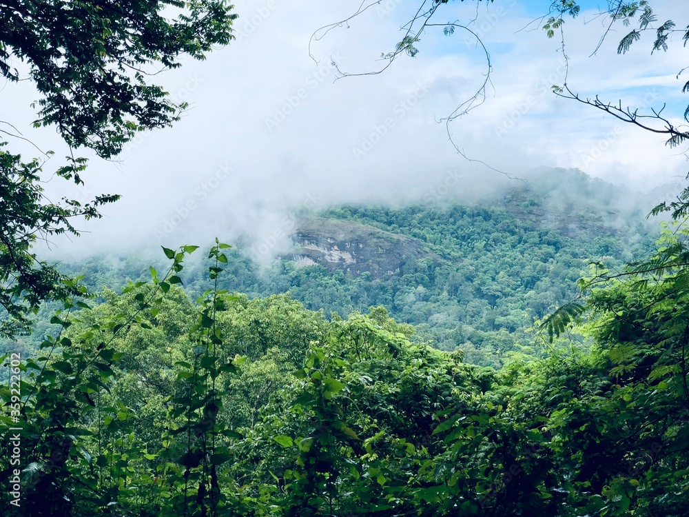 Scenic view of green forest with cloudy sky over the mountains