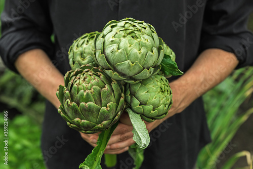 Obraz na plátně Organic vegetables