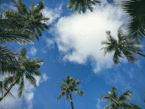 Lying and looking at the sky. Enjoy the view of sky sunbathing on the beach. View of the sky, cloud and palm trees in thailand. Vacation with children. Image with selective focus, noise effect.