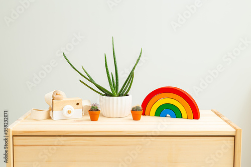 Children's wooden toys rainbow and Houseplant on wooden shelf. Zero waste