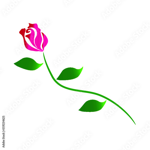 Long stemmed rose