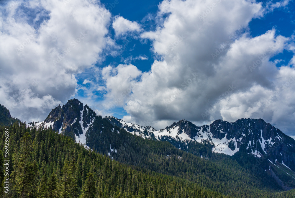 Obraz premium Looking South From Inspiration Point At Mount Rainier National Park