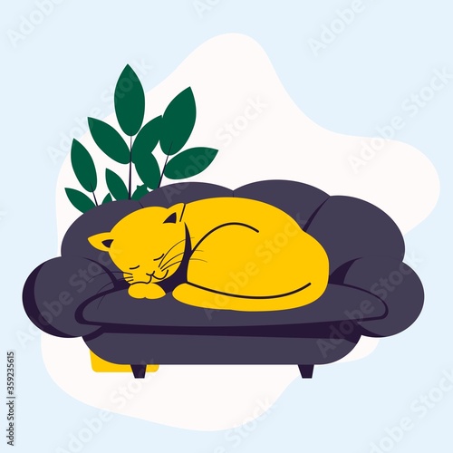 The yellow cat sleeping on the couch curled up in a ball. Pets.
