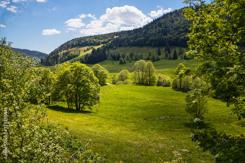 Menzenschwand_2557