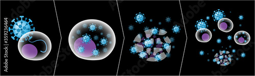 Εκτύπωση καμβά Stages of viral replication cycle in a human cell; viral RNA injection, virus re