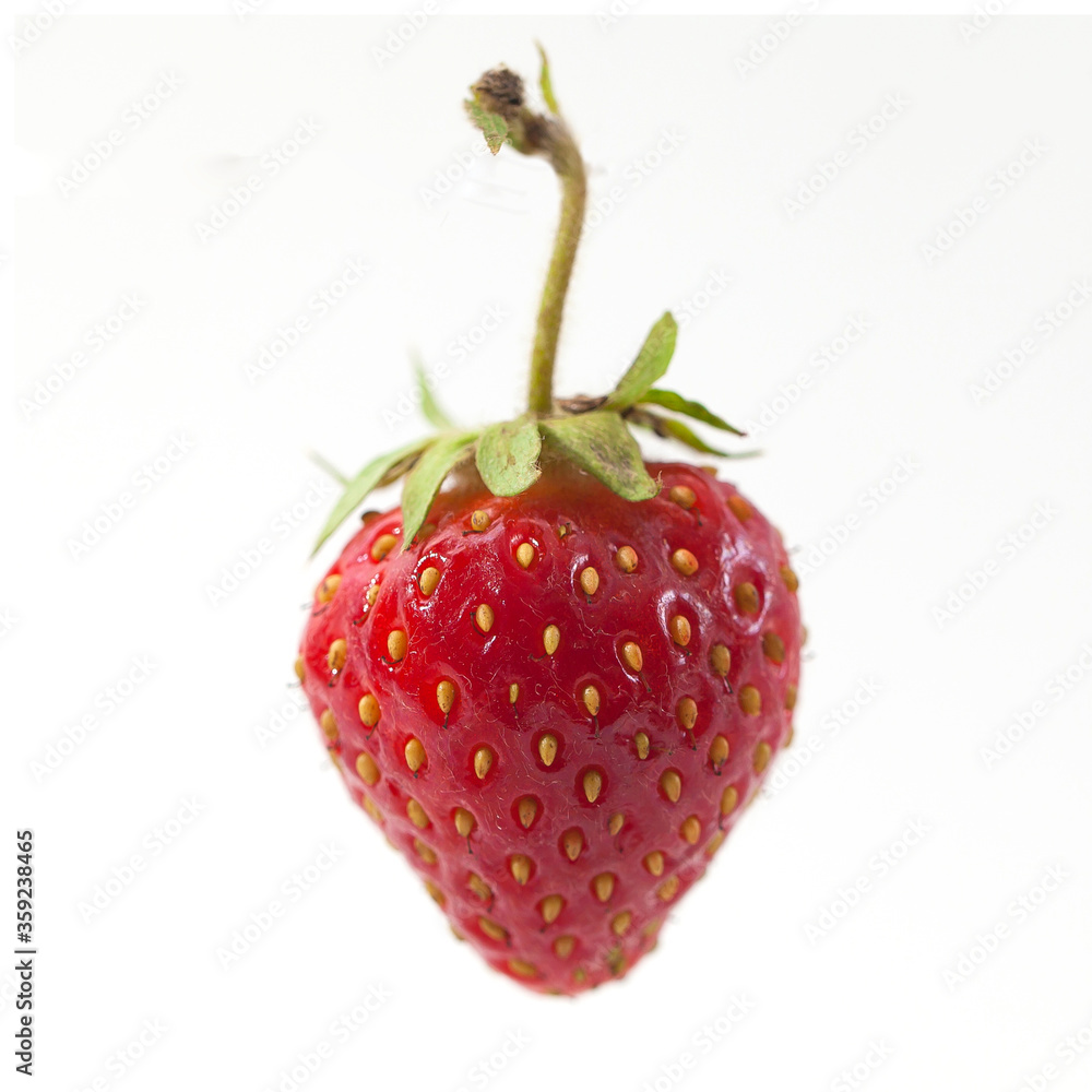 strawberries on a white background ripe red berries fresh with leaves strawberries on a white background ripe red berries fresh with leaves