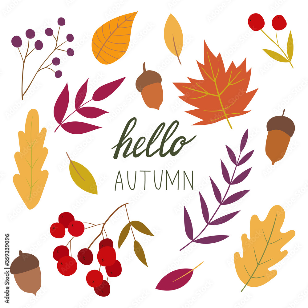 Autumn set. Vector autumn illustration. Autumn mood. Simple cartoon flat style. Every illustration is isolated. 