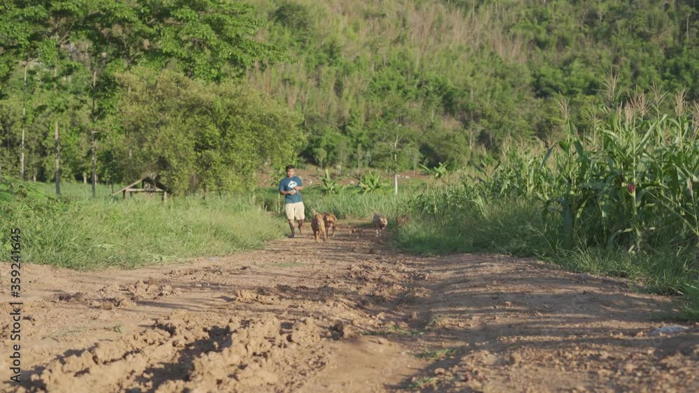 couple walking in the countryside couple walking in the countryside