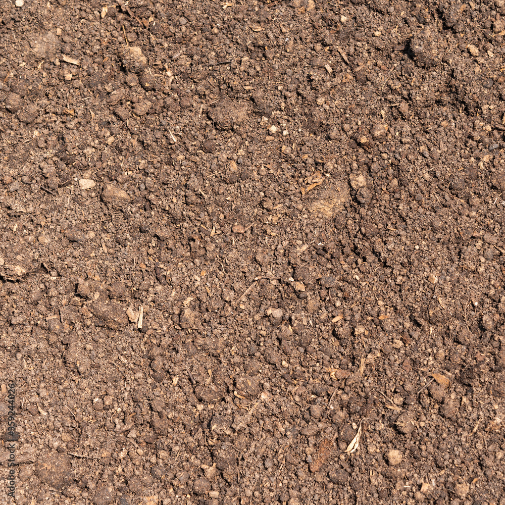 Fertile soil - field ground mixed with peat Fertile soil - field ground mixed with peat
