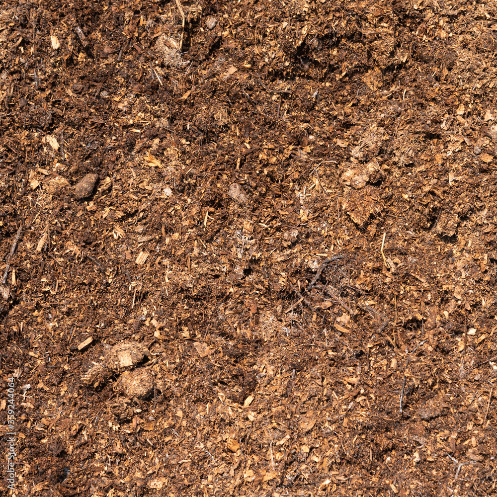 Natural eco-friendly fertilizer for the soil - horse manure. Natural eco-friendly fertilizer for the soil - horse manure.