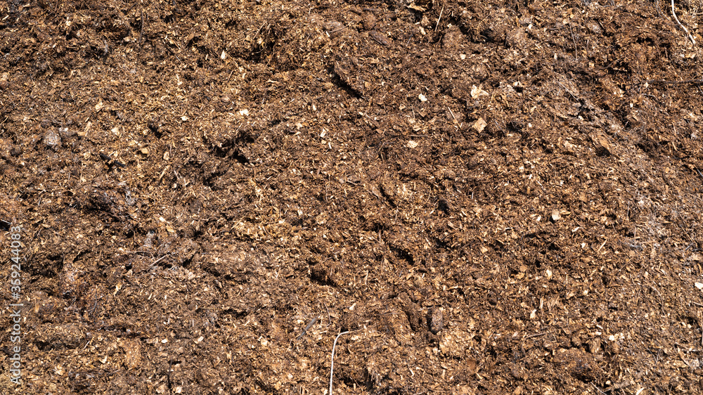 Natural eco-friendly fertilizer for the soil - horse manure.