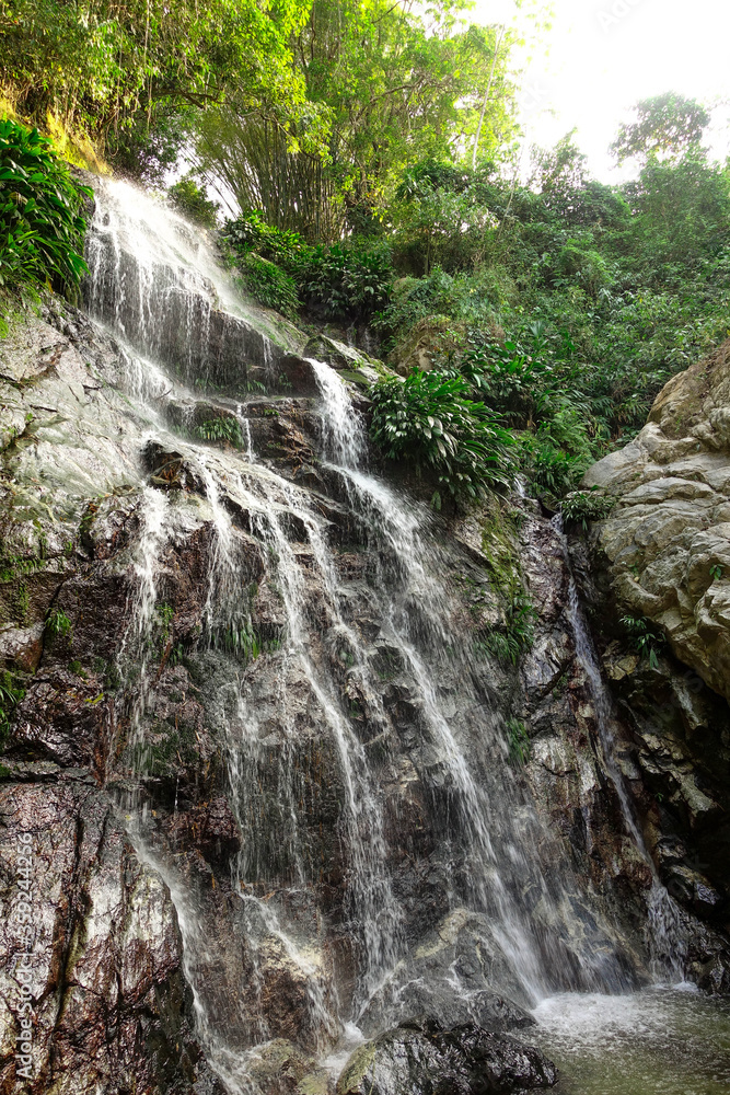 Obraz premium Tropical waterfall in the jungle near Minca, Colombia.