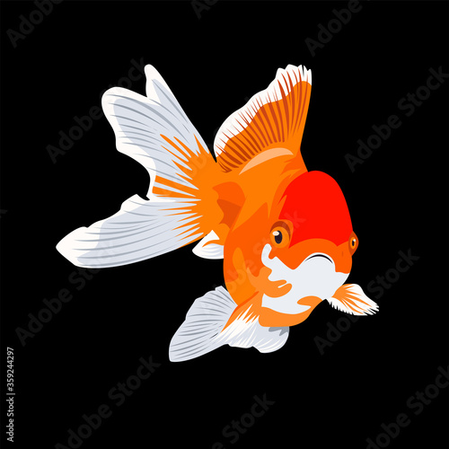 Oranda Goldfish Logo Vector Design