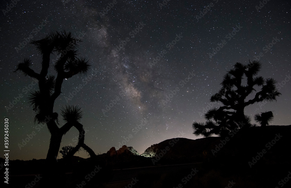 milky way core seen between silhouettes of two Joshua trees with some light painting on the rocks below. 