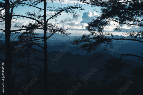 Mountains and green trees during the day