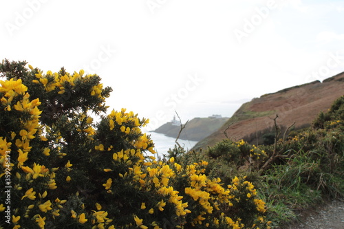 Photography Baily Lighthouse, Howth, Dublin, Ireland