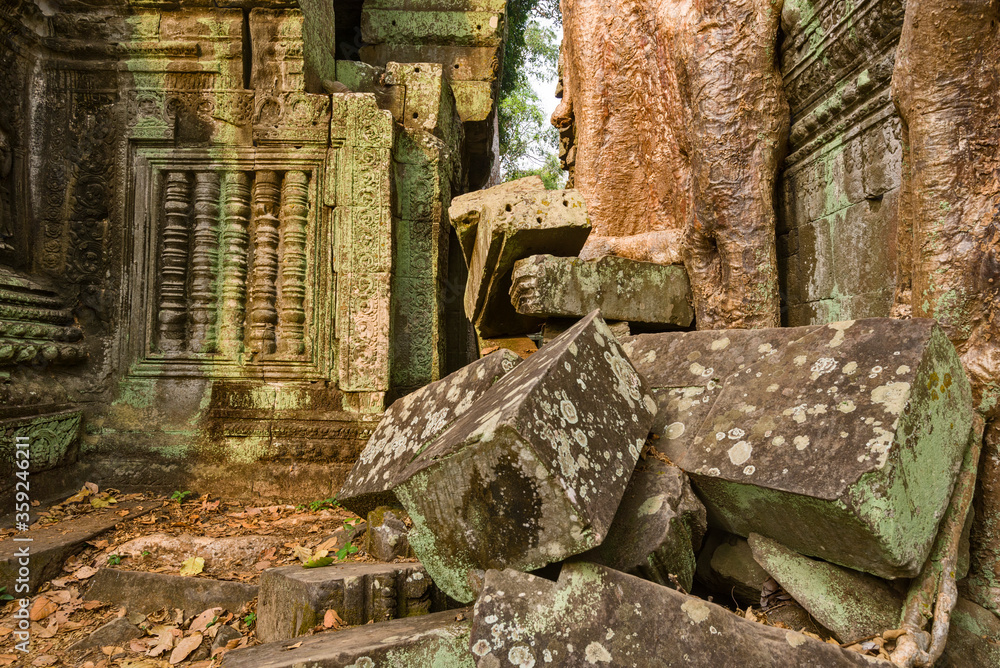Naklejka premium ruins in the heart of the Ta Prohm temple in siem reap, Cambodia