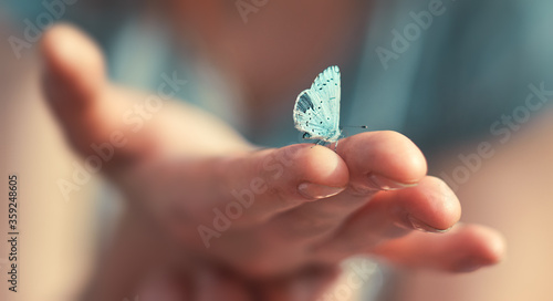 Butterfly sits on a woman hand. Blue, fragile butterfly wings on woman fingers create harmony of nature, beauty magic close-up. Macro.