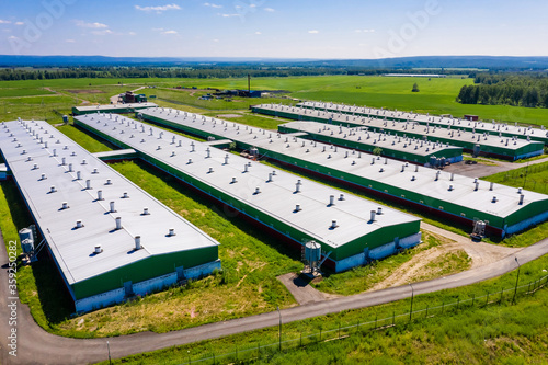 Pork farm in the countryside
