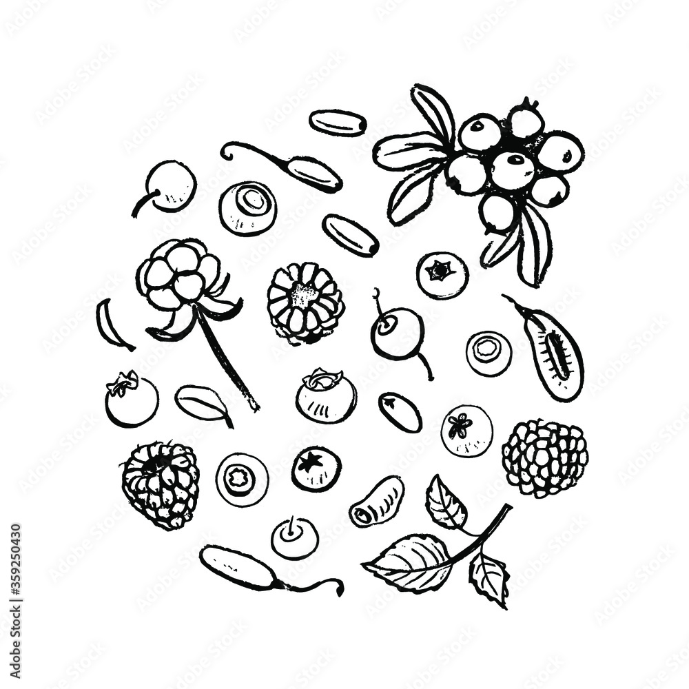 Berries Clipart Black And White