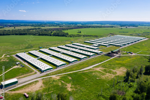 Pork farm in the countryside