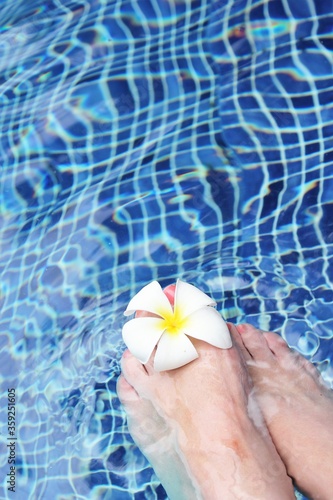 frangipani flower exotic tropical poolside background for spa resort vacation travel with copy space stock photo photograph image picture 