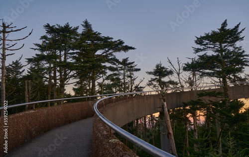 Foggy sunset through forest in Great Smoky Mountains National Park, Clingmans Dome, Tennessee, USA