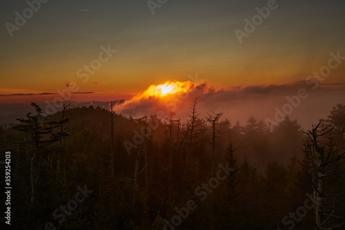 Foggy sunset through forest in Great Smoky Mountains, Tennessee, USA