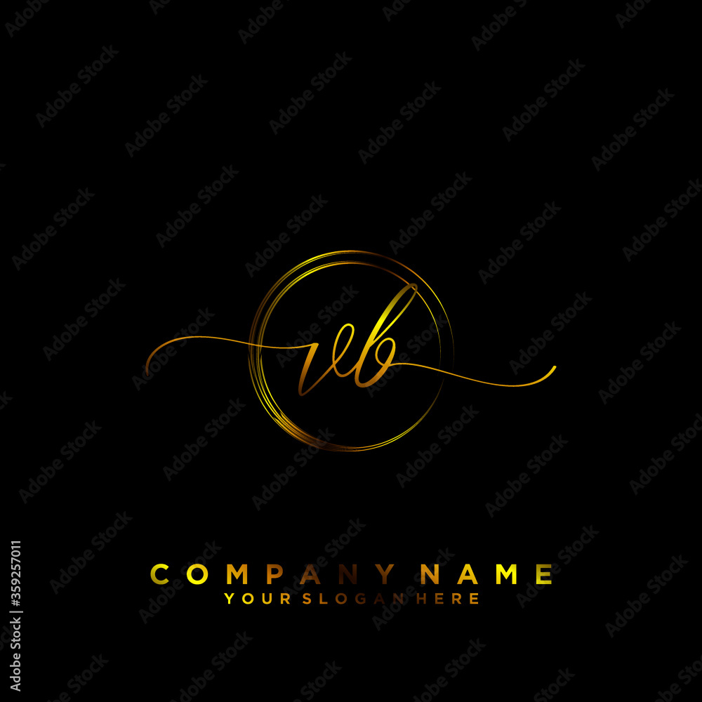 VB Initial handwriting logo vector
VB Initial handwriting logo vector
