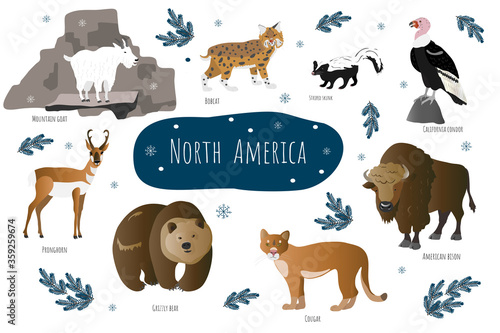Vector collection with north american animals. Illustration with cute animals for children. Mountain goat, bobcat, pronghorn, grizzly bear, cougar and american bison.