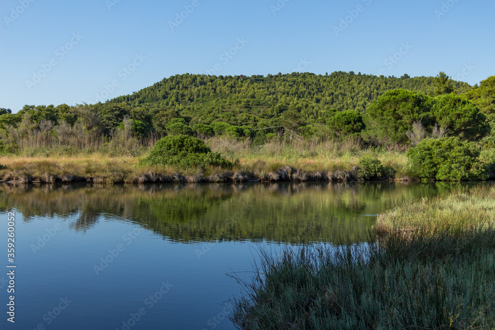 Koukounaries lake located a lagoon next to the famous Koukounaries beaches on Skiathos island, Sporades, Greece. A wooded peninsula with a stone pine forest separates the lagoon from the Aegean Sea.