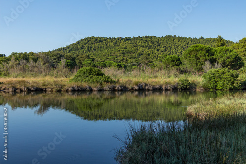 Obraz na płótnie Koukounaries lake located a lagoon next to the famous Koukounaries beaches on Skiathos island, Sporades, Greece. A wooded peninsula with a stone pine forest separates the lagoon from the Aegean Sea. w salonie