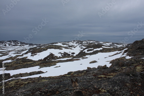 mountains under the snow