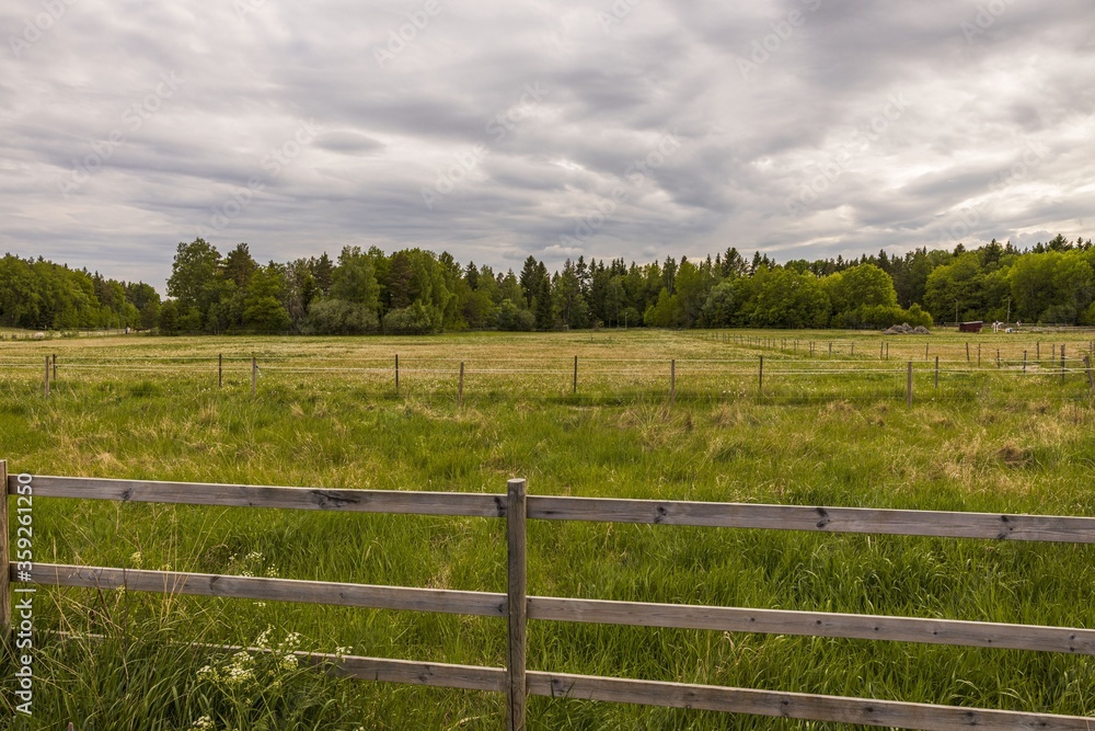 Beautiful nature landscape view. Green meadow on green forest trees and cloudy sky background. Sweden. Europe. Beautiful nature landscape view. Green meadow on green forest trees and cloudy sky background. Sweden. Europe.