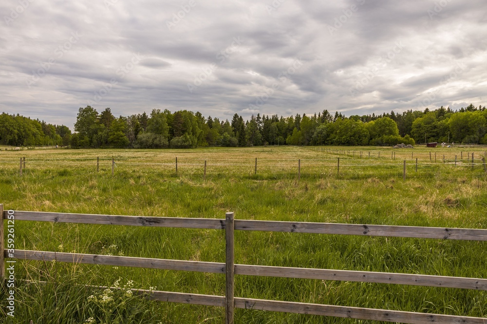 Beautiful nature landscape view. Green meadow on green forest trees and  cloudy sky background. Sweden. Europe.