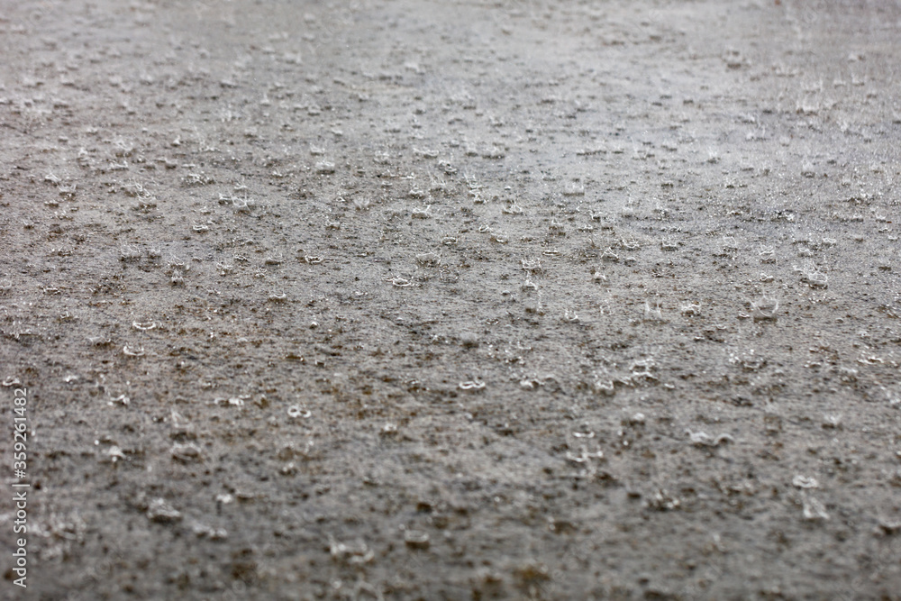 Large raindrops covered the pavement of the city street. Large raindrops covered the pavement of the city street.