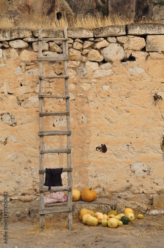 traditional life in the countryside and old wooden ladder