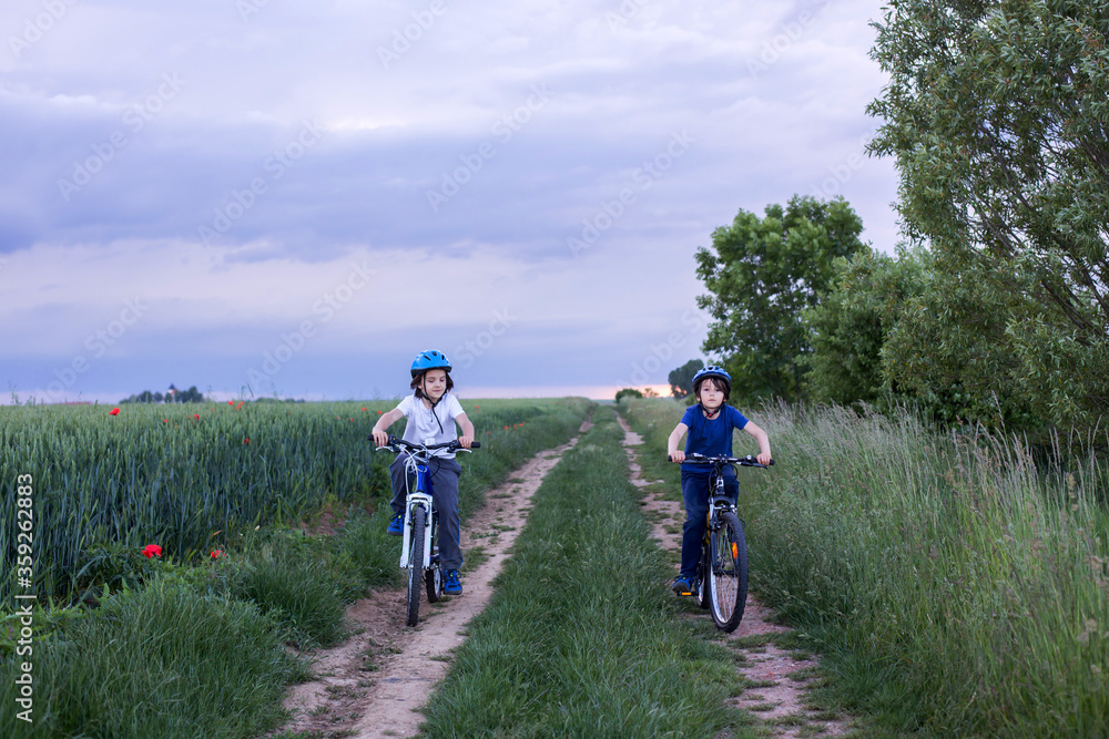 Obraz premium Children, riding bikes on rural path, summer evening