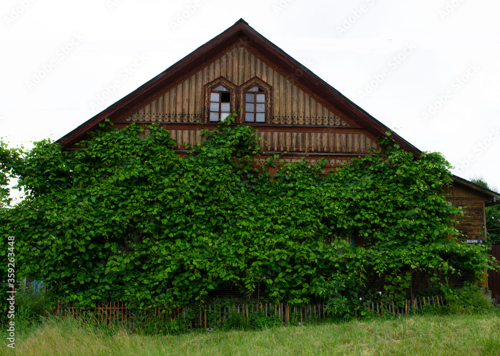 Obraz premium house