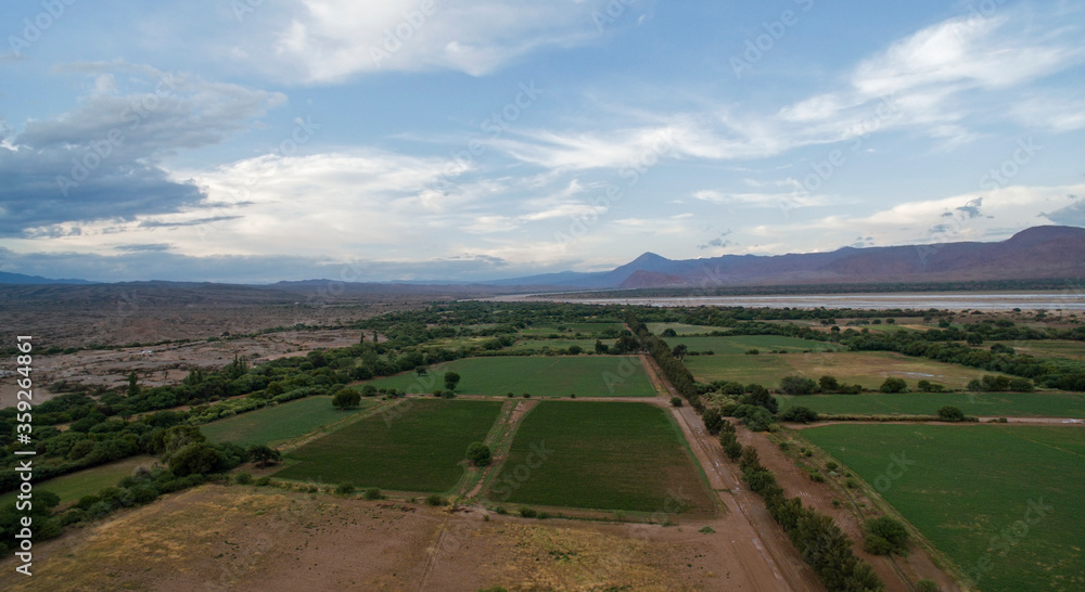 Agriculture. Rural landscape. Aerial view of the alfalfa cultivation fields and farmland in the mountain valley.