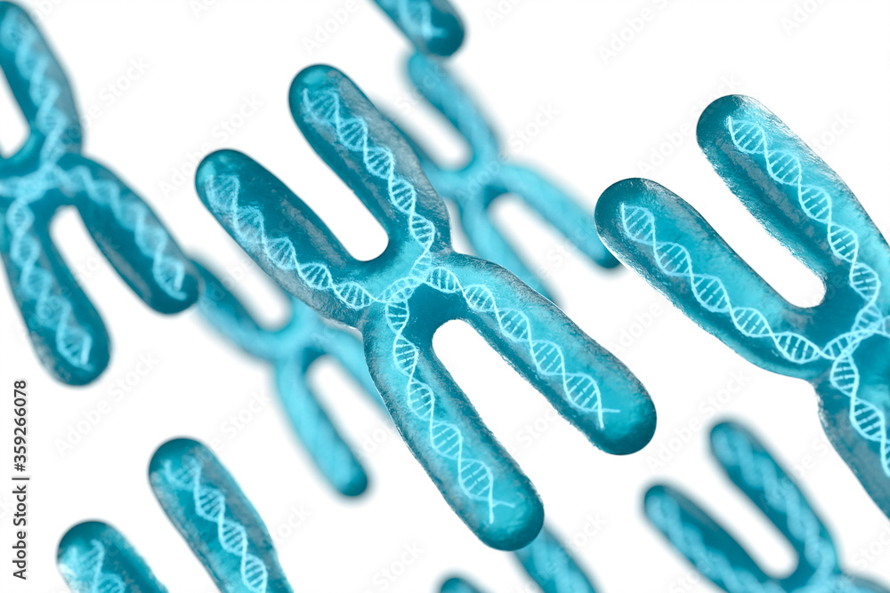 Chromosome with white background, 3d rendering. Chromosome with white background, 3d rendering.