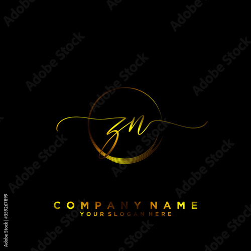 ZN Initial handwriting logo vector	
