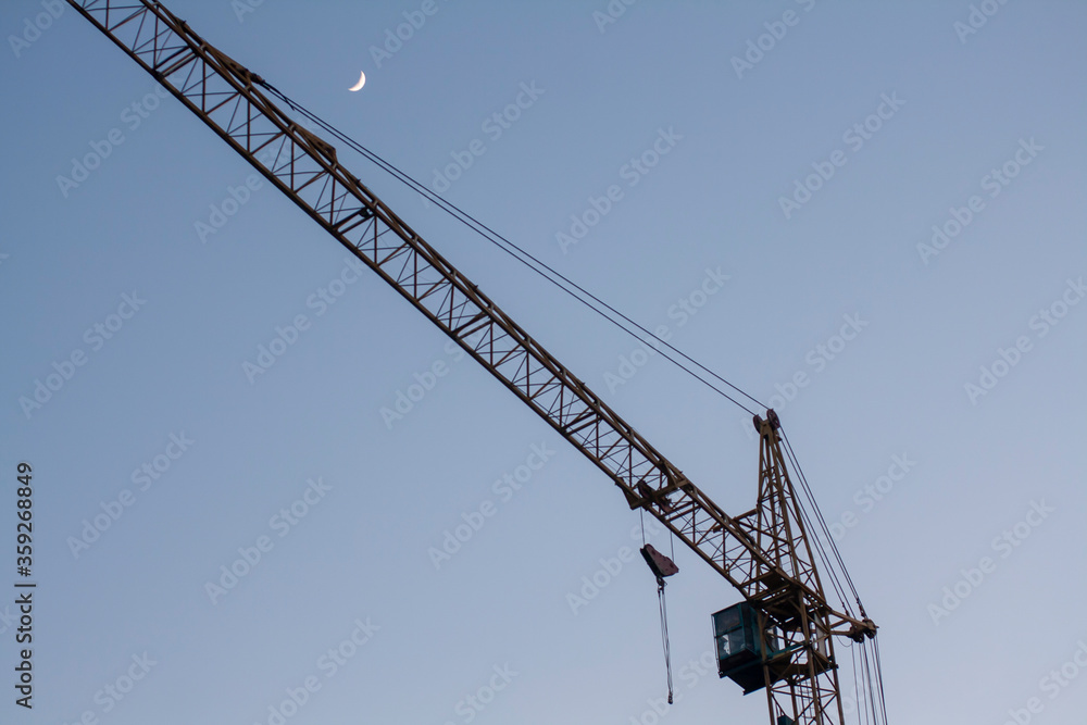 Crane at sunrise against the background of the moon