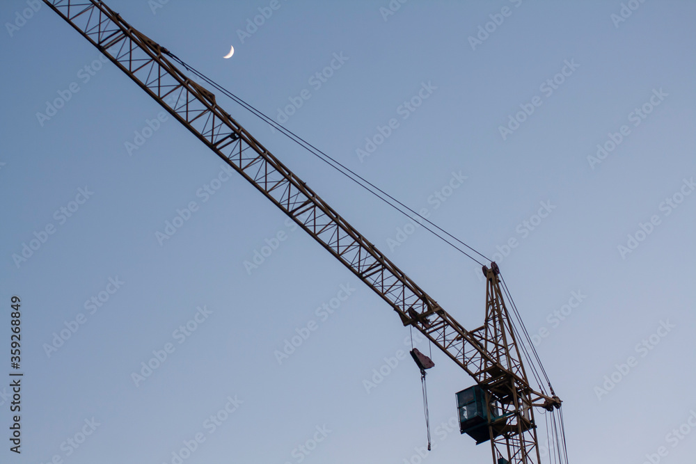 Crane at sunrise against the background of the moon Crane at sunrise against the background of the moon