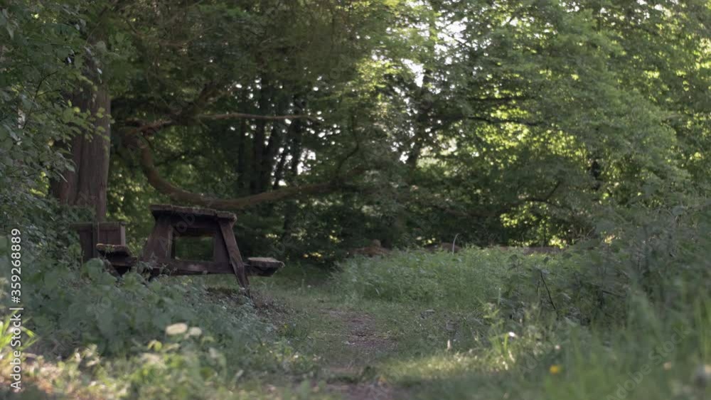 Empty picnic table along a path in a forest, a perfect spot to relax Empty picnic table along a path in a forest, a perfect spot to relax