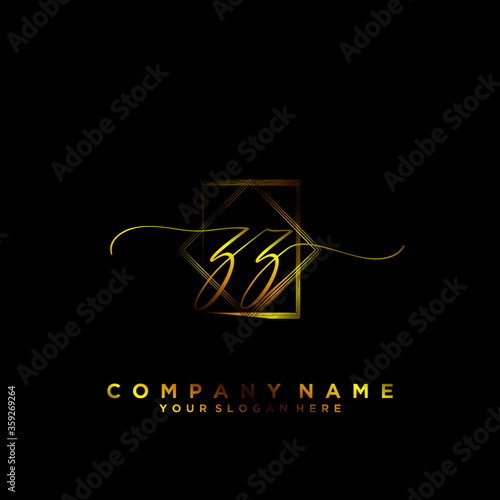 ZZ Initial handwriting logo vector	

