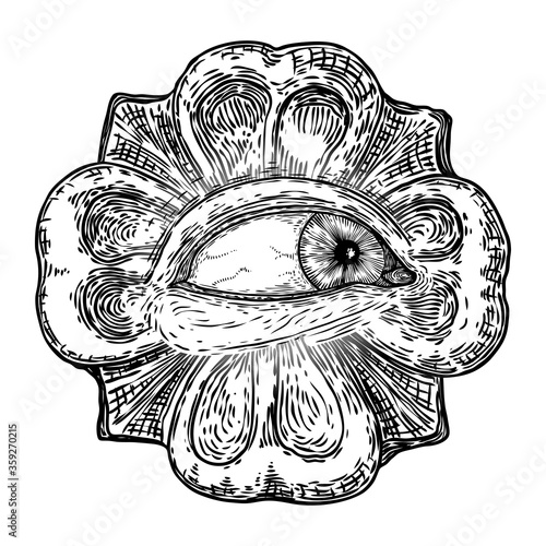 All seeing eye symbol element variation. Alchemy, religion, spirituality and occultism tattoo ink art. Vision of providence and conspiracy theory. Hand drawing in flash tattoo style artwork. Vector.
