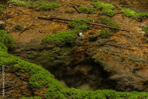 Cisarska gorge with clean creek and waterfall near Berounka river photo